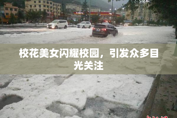 校花美女闪耀校园，引发众多目光关注