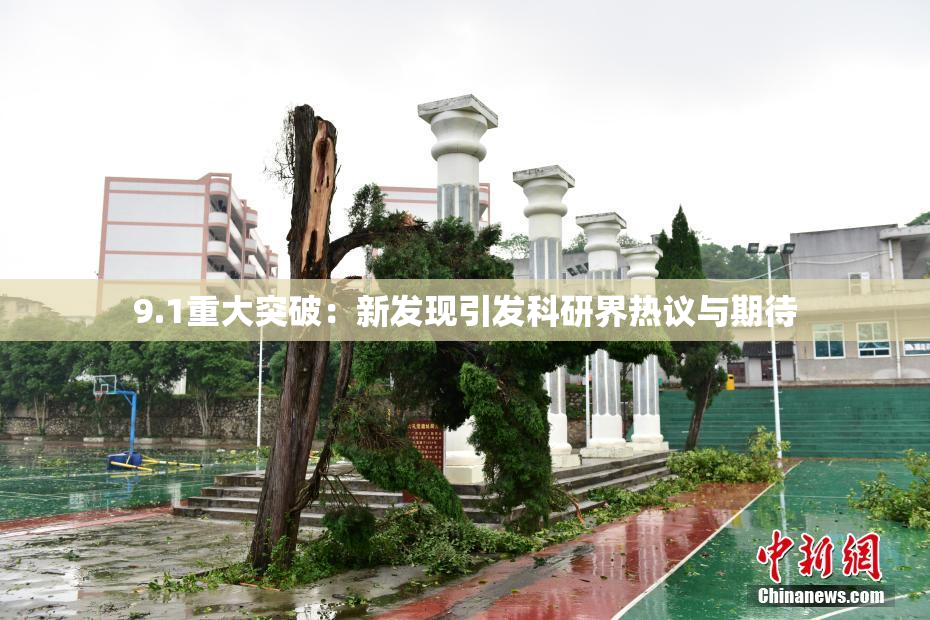 9.1重大突破：新发现引发科研界热议与期待