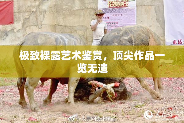 极致裸露艺术鉴赏，顶尖作品一览无遗
