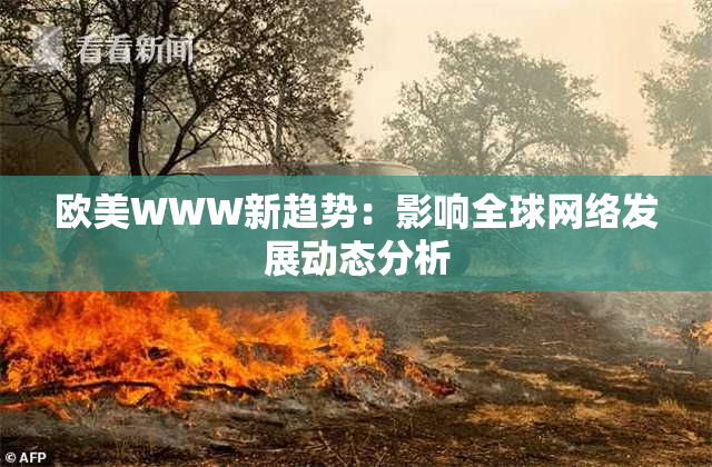 欧美WWW新趋势：影响全球网络发展动态分析