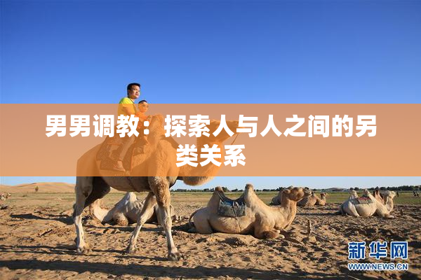 男男调教：探索人与人之间的另类关系