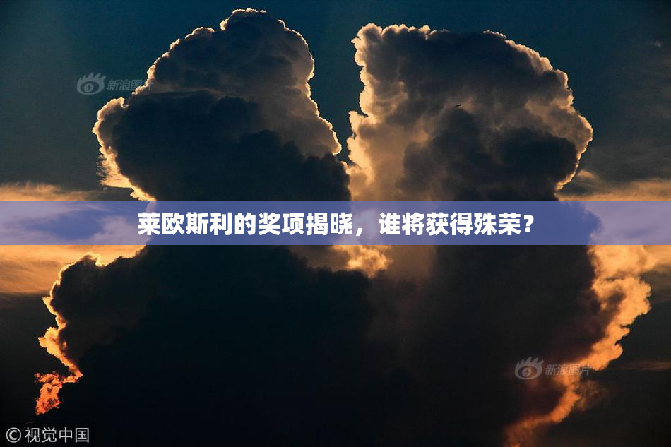 莱欧斯利的奖项揭晓，谁将获得殊荣？