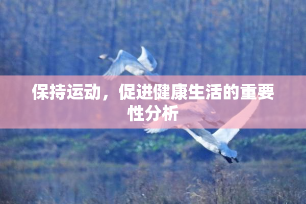保持运动，促进健康生活的重要性分析