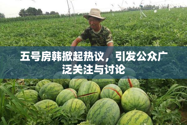 五号房韩掀起热议，引发公众广泛关注与讨论