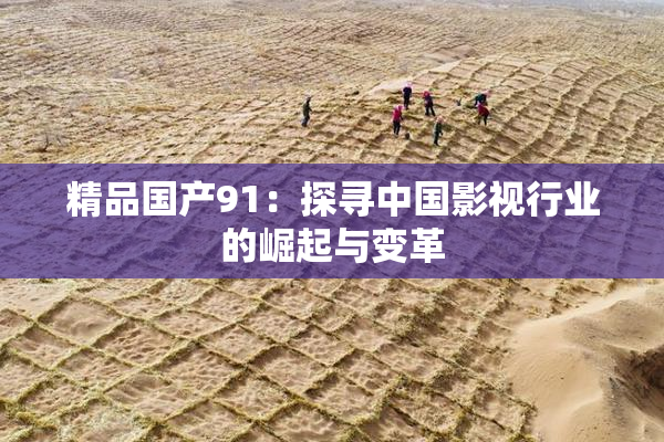精品国产91：探寻中国影视行业的崛起与变革