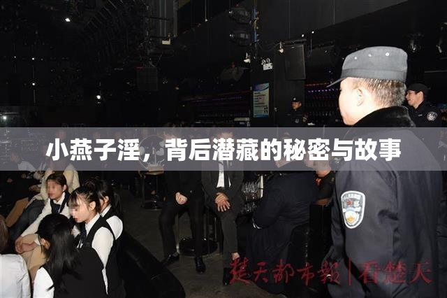 小燕子淫，背后潜藏的秘密与故事