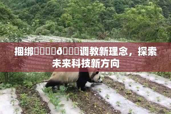 捆绑❌‌❌‌🔞调教新理念，探索未来科技新方向