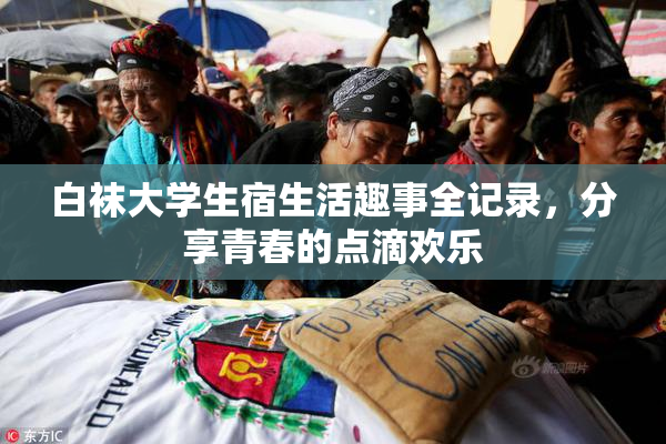 白袜大学生宿生活趣事全记录，分享青春的点滴欢乐