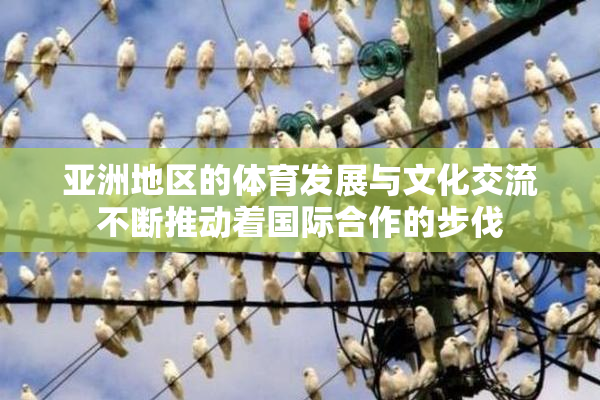 亚洲地区的体育发展与文化交流不断推动着国际合作的步伐
