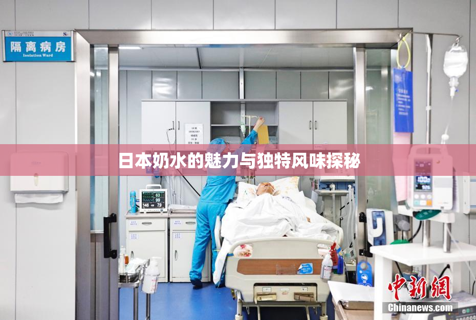 日本奶水的魅力与独特风味探秘