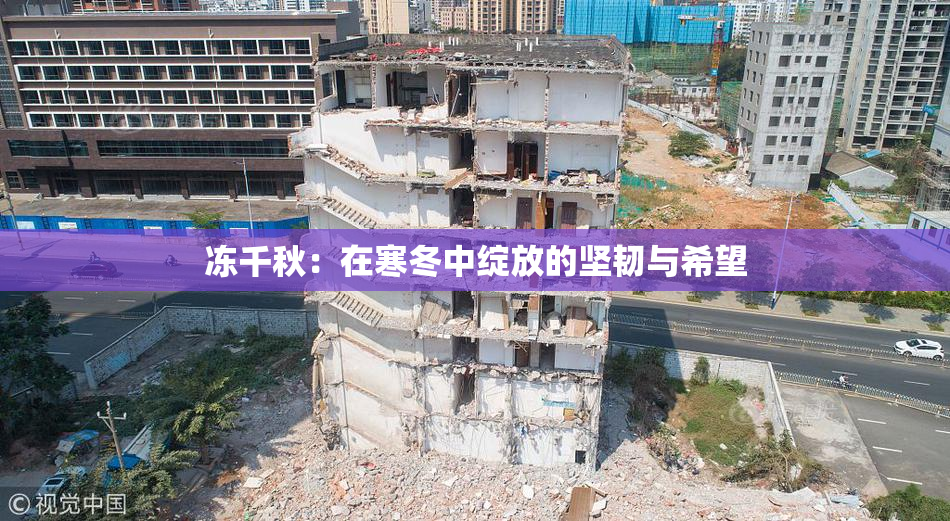 冻千秋：在寒冬中绽放的坚韧与希望