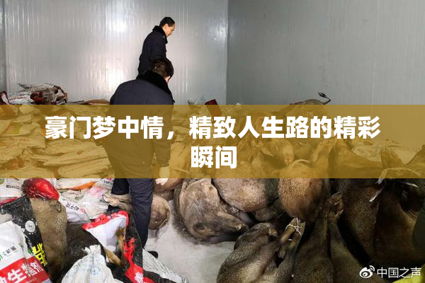 豪门梦中情，精致人生路的精彩瞬间