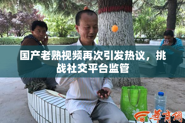 国产老熟视频再次引发热议，挑战社交平台监管