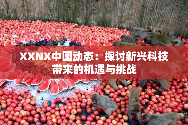 XXNX中国动态：探讨新兴科技带来的机遇与挑战