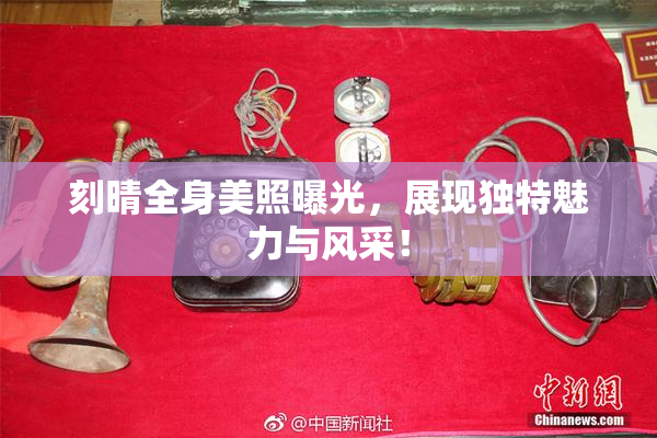 刻晴全身美照曝光，展现独特魅力与风采！