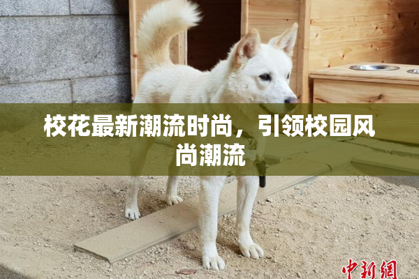 校花最新潮流时尚，引领校园风尚潮流