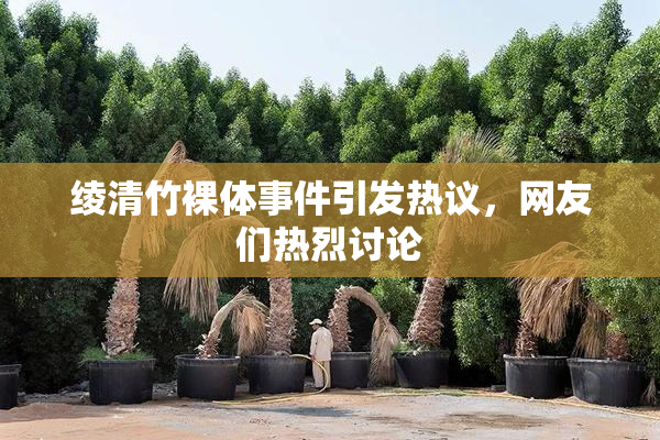绫清竹裸体事件引发热议，网友们热烈讨论