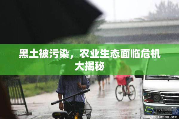 黑土被污染，农业生态面临危机大揭秘
