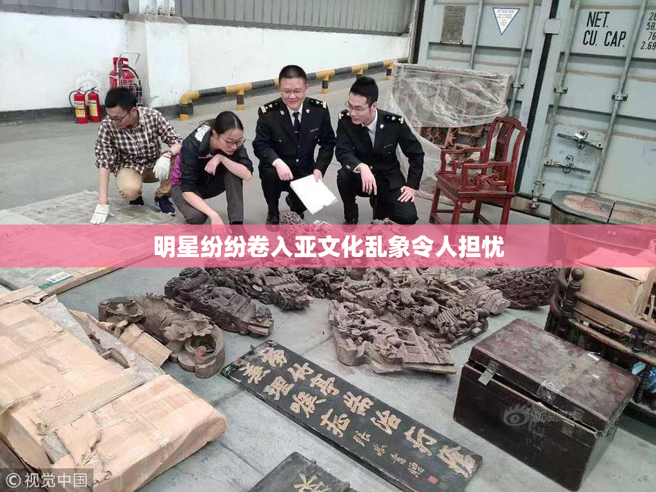 明星纷纷卷入亚文化乱象令人担忧