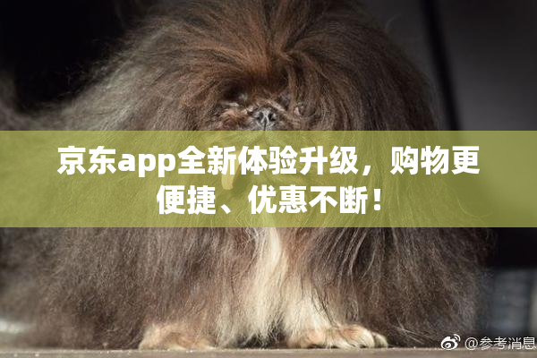 京东app全新体验升级，购物更便捷、优惠不断！