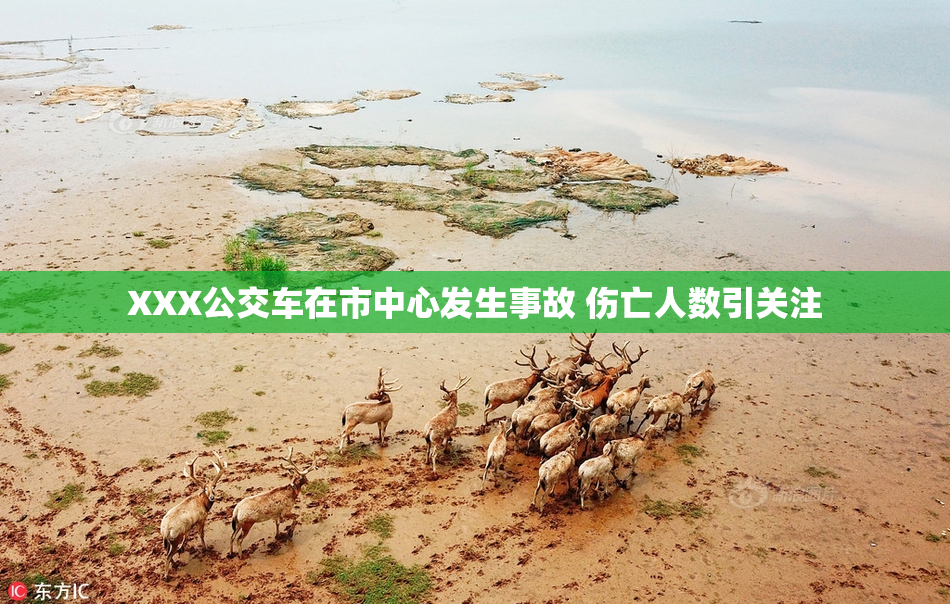 XXX公交车在市中心发生事故 伤亡人数引关注