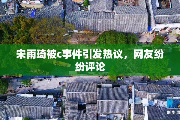 宋雨琦被c事件引发热议，网友纷纷评论