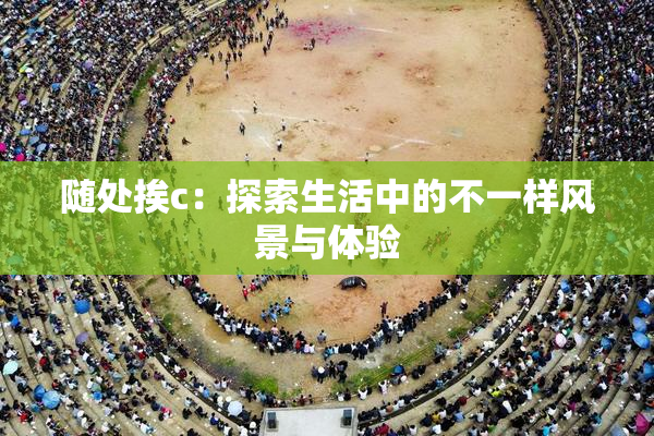 随处挨c：探索生活中的不一样风景与体验