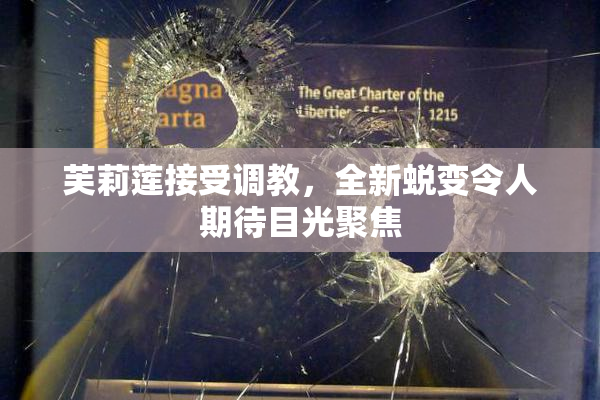 芙莉莲接受调教，全新蜕变令人期待目光聚焦