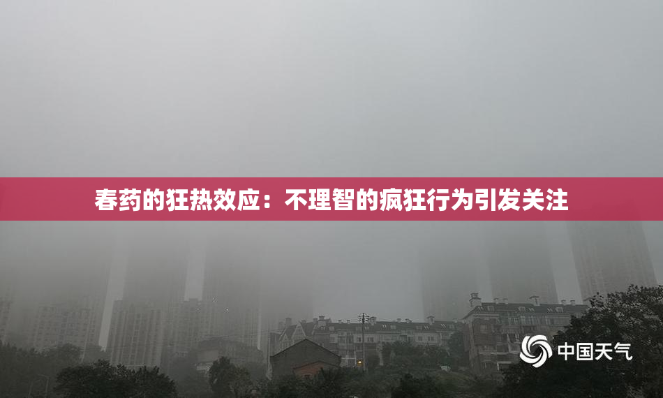 春药的狂热效应：不理智的疯狂行为引发关注