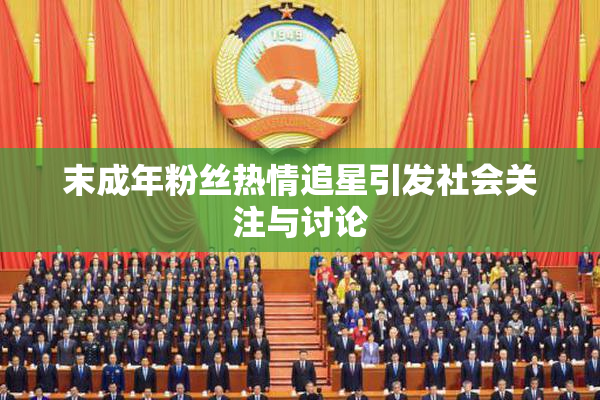 末成年粉丝热情追星引发社会关注与讨论