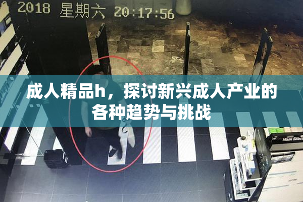 成人精品h，探讨新兴成人产业的各种趋势与挑战