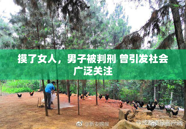 摸了女人，男子被判刑 曾引发社会广泛关注