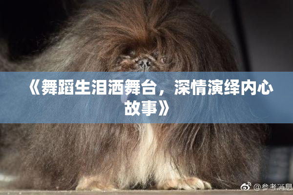 《舞蹈生泪洒舞台，深情演绎内心故事》