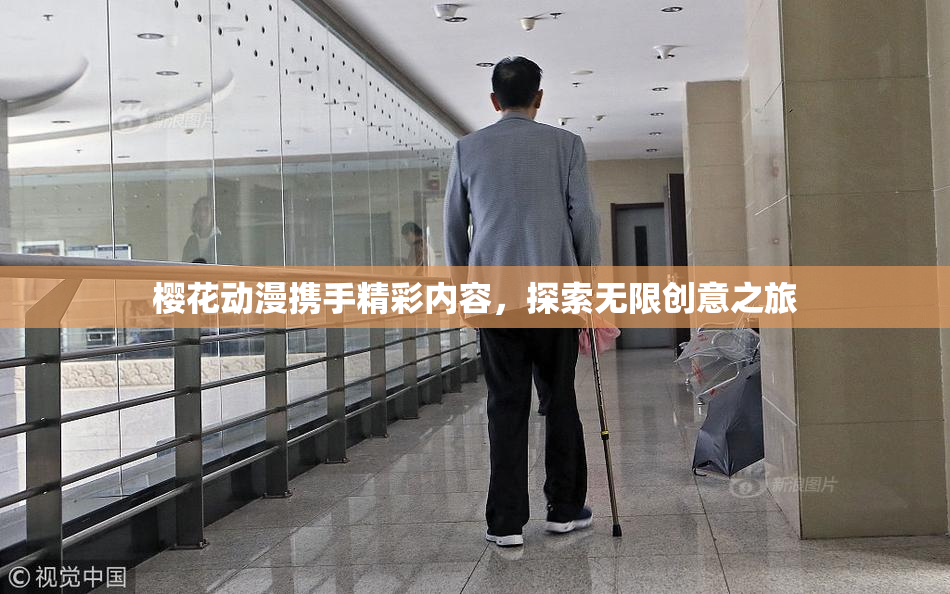 樱花动漫携手精彩内容，探索无限创意之旅