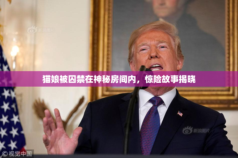 猫娘被囚禁在神秘房间内，惊险故事揭晓