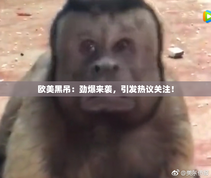 欧美黑吊：劲爆来袭，引发热议关注！