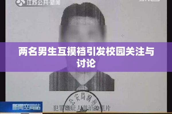 两名男生互摸裆引发校园关注与讨论