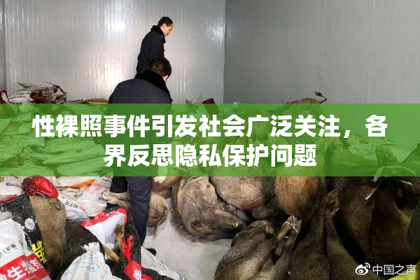 性裸照事件引发社会广泛关注，各界反思隐私保护问题