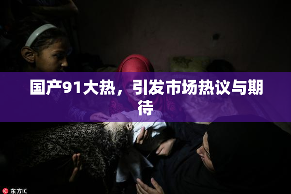 国产91大热，引发市场热议与期待