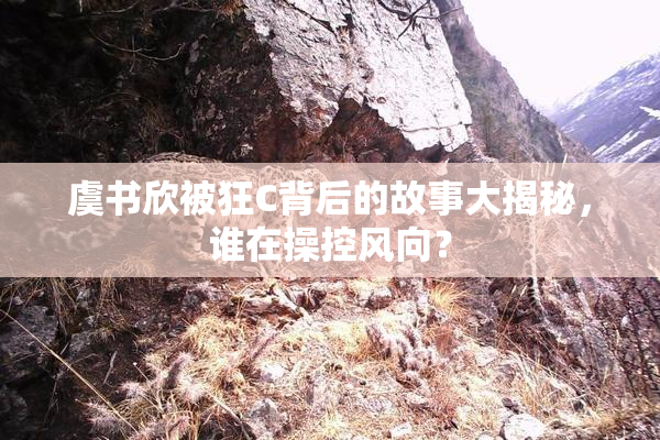 虞书欣被狂C背后的故事大揭秘，谁在操控风向？