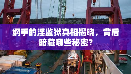纲手的淫监狱真相揭晓，背后暗藏哪些秘密？