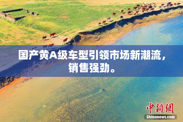 国产黄A级车型引领市场新潮流，销售强劲。