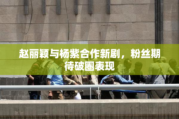 赵丽颖与杨紫合作新剧，粉丝期待破圈表现