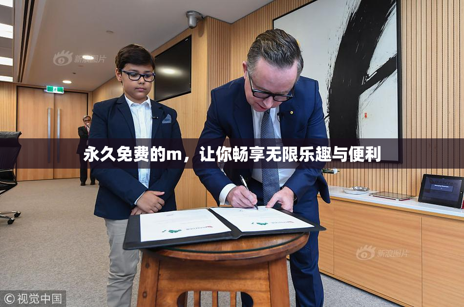 永久免费的m，让你畅享无限乐趣与便利