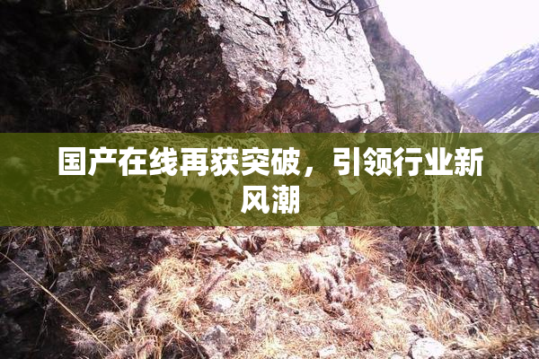 国产在线再获突破，引领行业新风潮