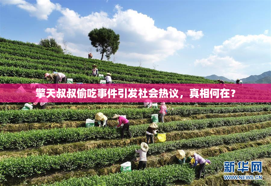擎天叔叔偷吃事件引发社会热议，真相何在？