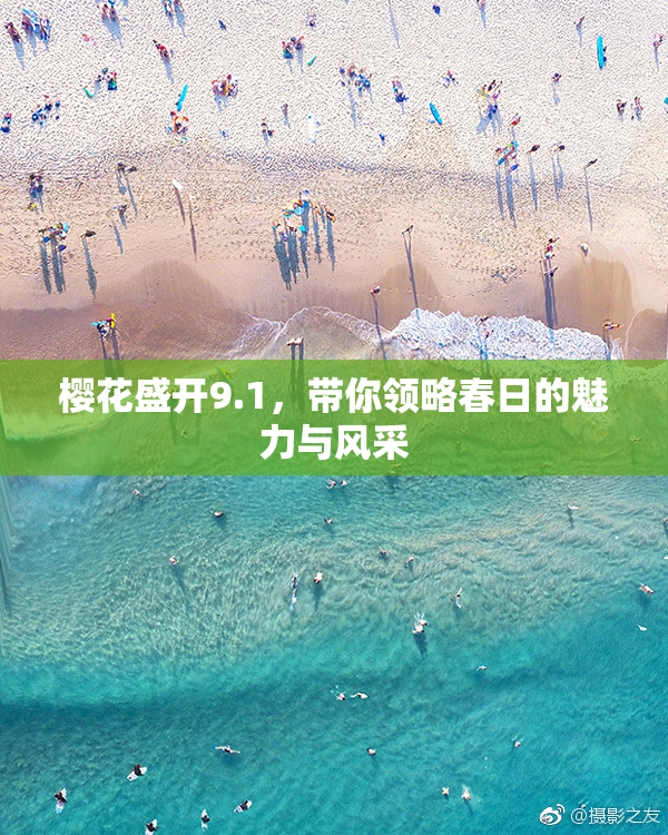 樱花盛开9.1，带你领略春日的魅力与风采