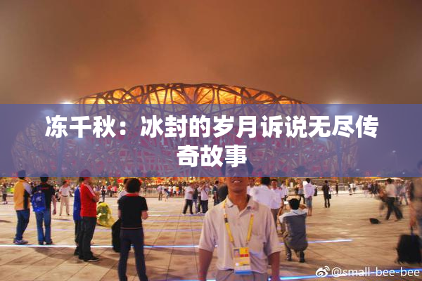 冻千秋：冰封的岁月诉说无尽传奇故事