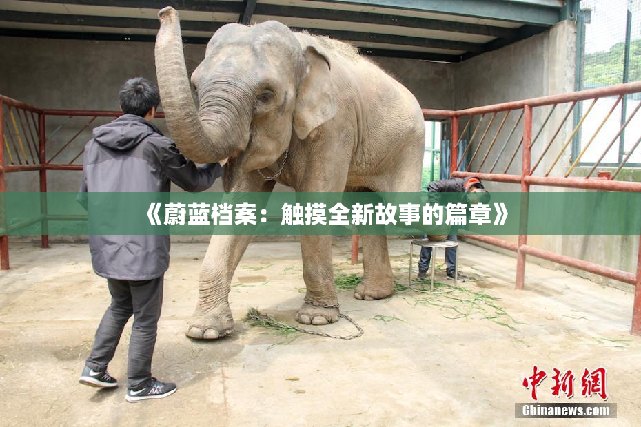 《蔚蓝档案：触摸全新故事的篇章》