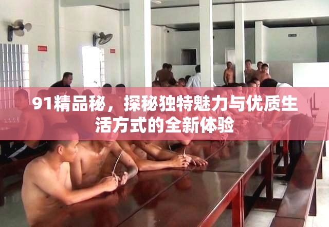 91精品秘，探秘独特魅力与优质生活方式的全新体验